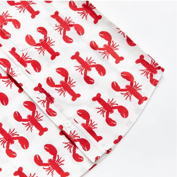 4/$20 🦞 Organic Cotton Short Sleeve Oxford Shirt - Picture 3 of 6